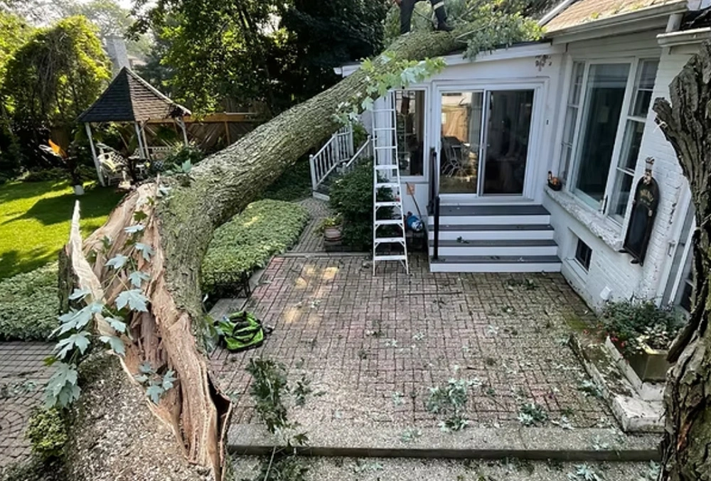 Quartz slab with veining